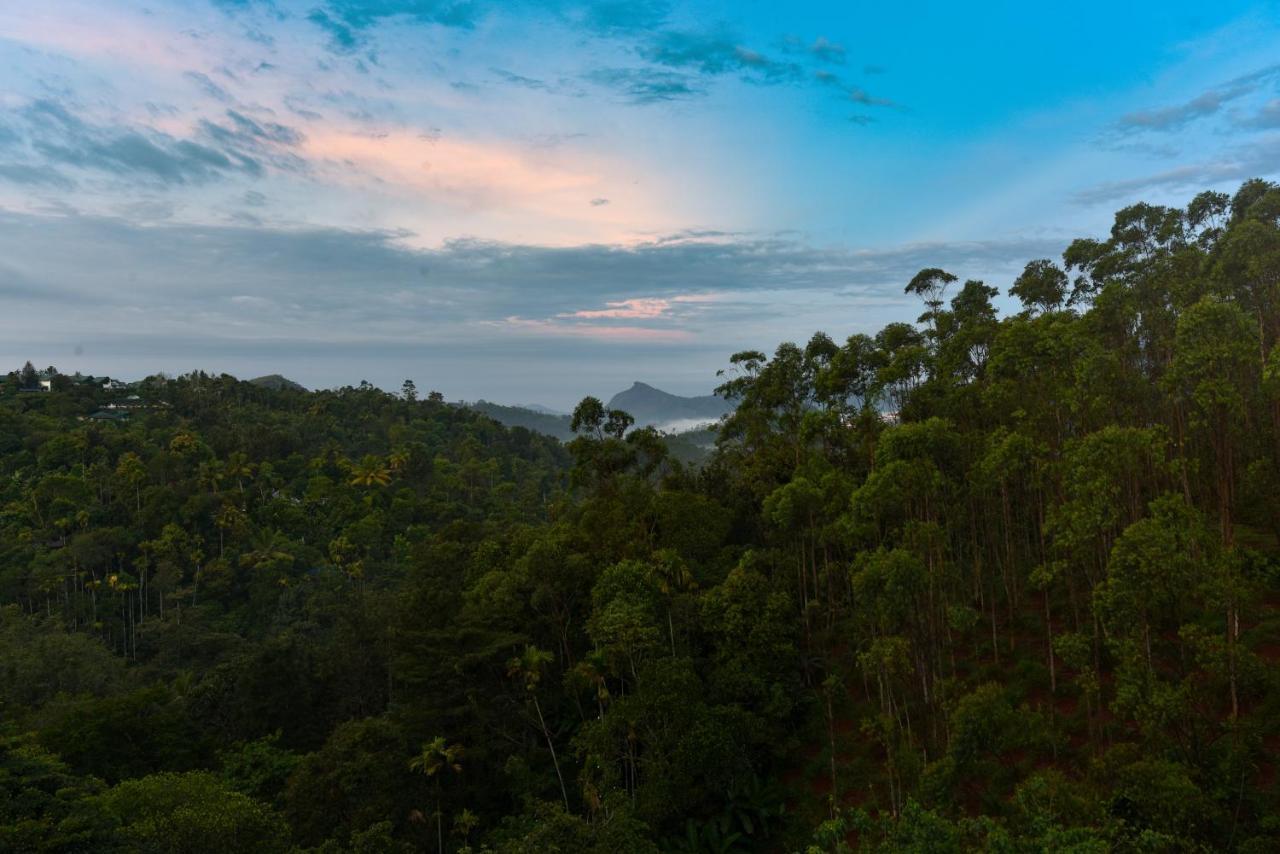 Hotel White House, Munnar Esterno foto