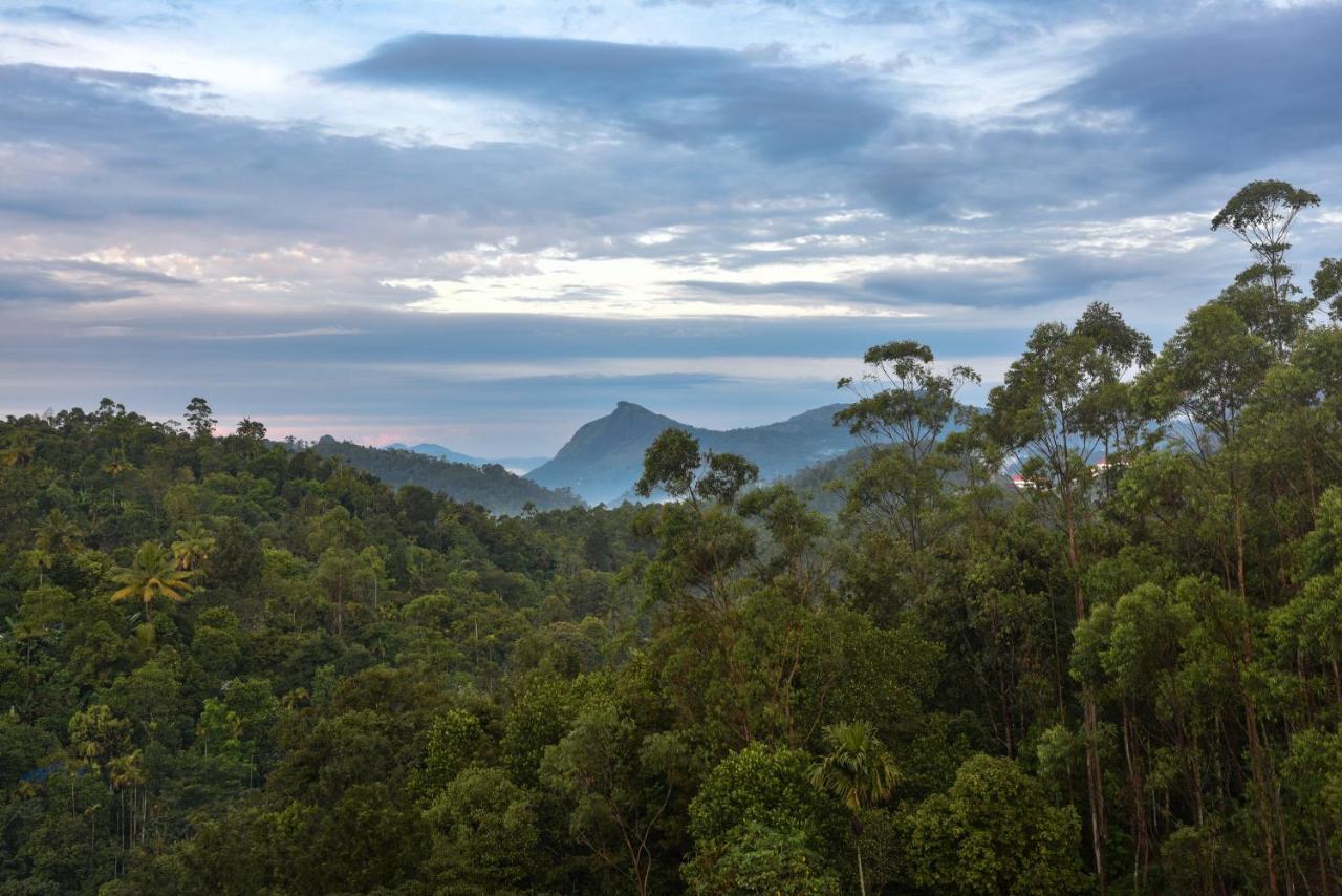 Hotel White House, Munnar Esterno foto
